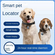 Pet GPS Tracker – Anti-Lost Locator for Dogs & Cats with waterproof design, accurate positioning, and 24-hour real-time tracking.